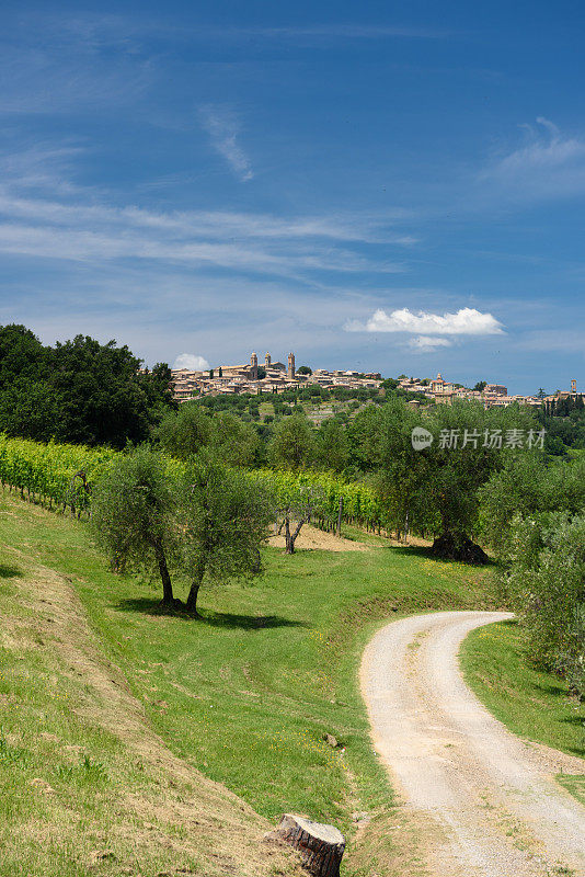 Montalcino的天际线和Val d’orcia，意大利托斯卡纳